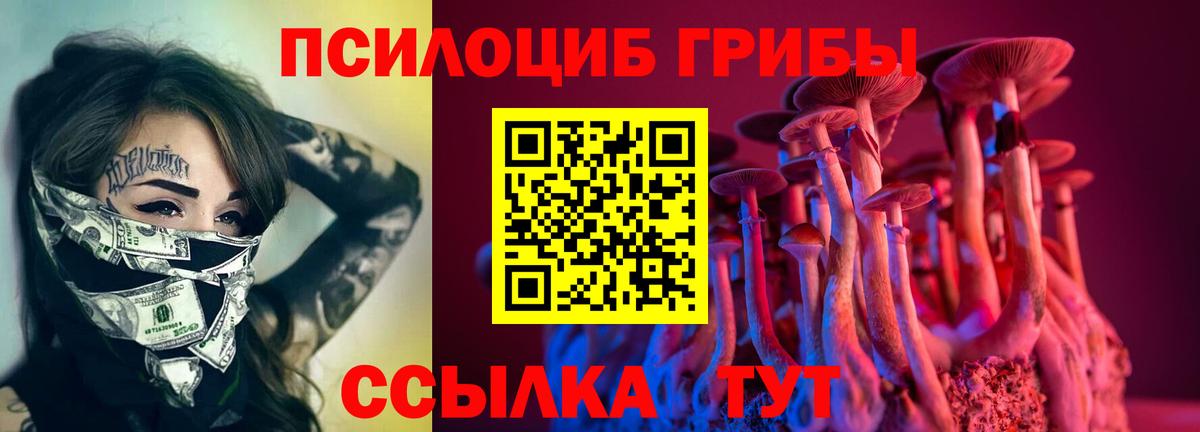 Трёхгорный  Псилоцибиновые грибы Psilocybe  Вход с VPN 