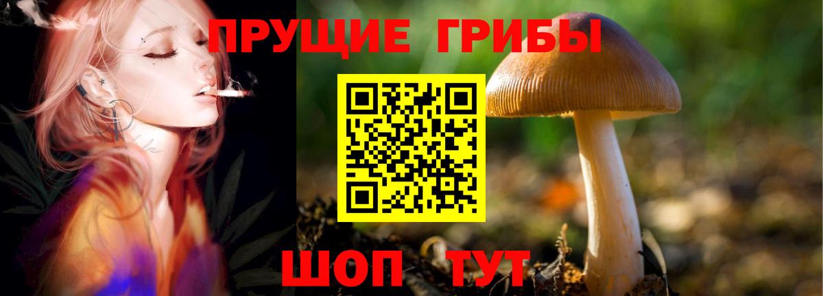 Галлюциногенные грибы прущие грибы Трёхгорный